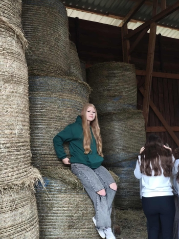 d9fa2a81-9655-463c-bcde-bef90b878a58