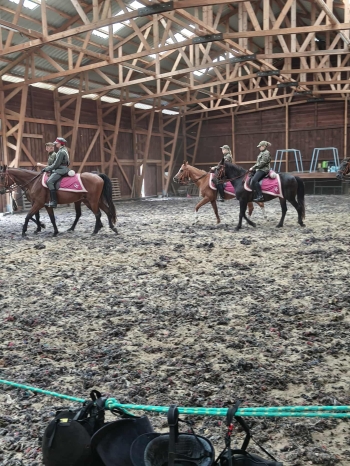 9bb7f994-aa1e-414e-b25f-199d71f92c5a