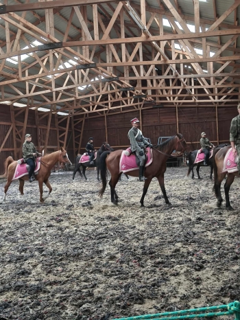 3bc0c427-806e-4812-8e23-2ceed9f9157e