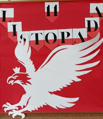 a8246e6b-7b2c-45a3-9a9f-2a61c91bfa7d