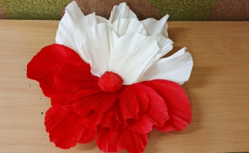 25918a54-3656-4f79-a8ec-2b3fe9fe1d4f