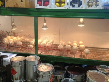 c69a1bdd-150a-4c4f-ba9a-d5df210ed352