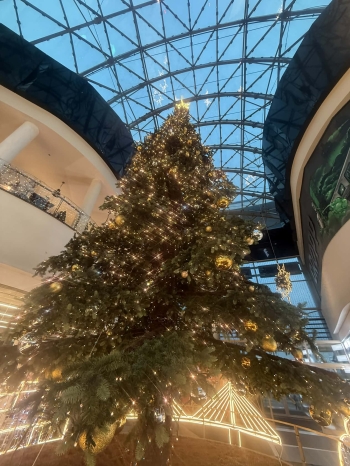 7dc90ecb-dec5-4cec-b743-18fb640ab63c