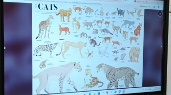 127efa55-f9b2-4583-98ae-5fe6e2e33f52