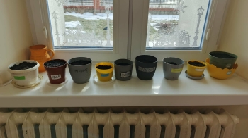 865d871e-e9a8-487a-881d-e83e7fe45b43