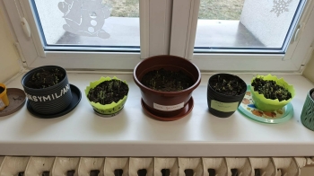 b96b3de6-da1b-475d-a475-75080faab3eb