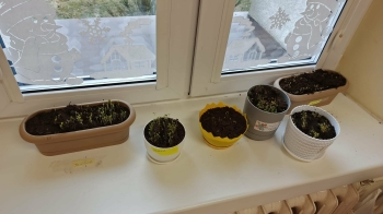 71c11df3-aade-4e8b-be28-5c5c98721dc2