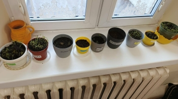 0b275c10-84a9-42c1-b962-2bf64a1ca5bd