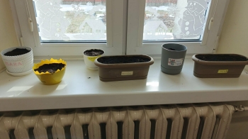 3f1b476f-3bb4-4b48-966c-c5b4ed110be4