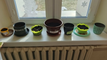 a11966a8-55b4-4233-89a8-2c5e5c340741