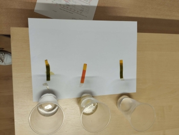 618ae633-7a80-45c4-a996-c916d93acc0f